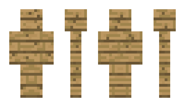 Minecraft skin Tok5
