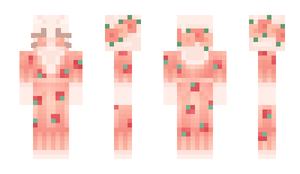 Minecraft skin _pons_