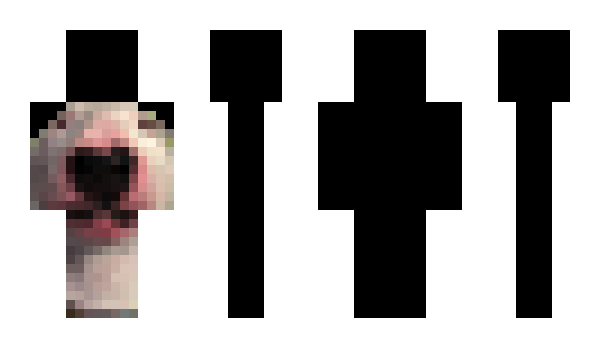 Minecraft скин по нику Hwbe