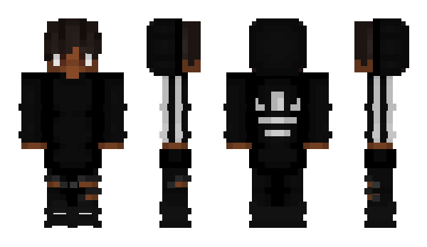 Minecraft skin FlashLine