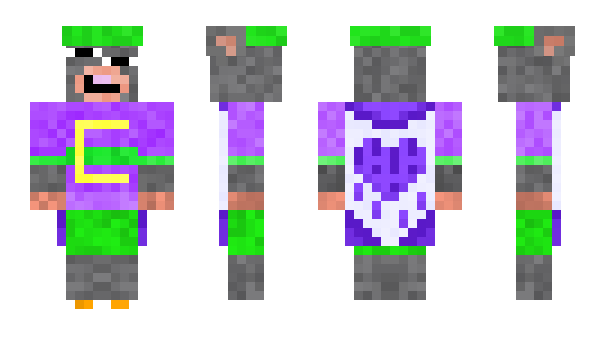 Minecraft skin bald_raccoon