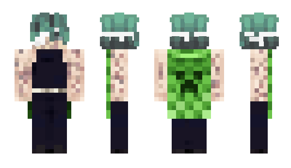 Minecraft skin zemal