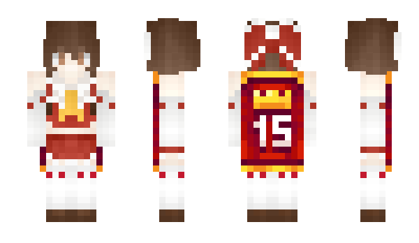 Minecraft skin NLYS