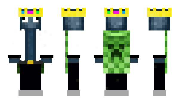 Minecraft skin i1nk