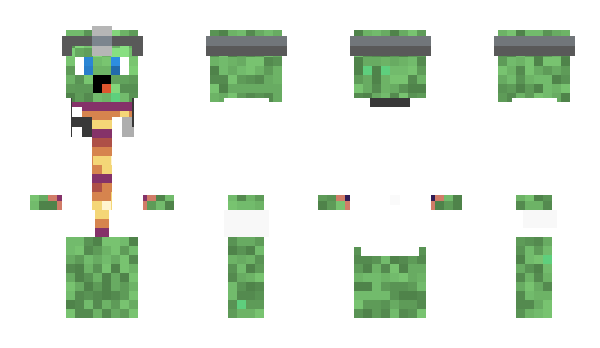 Minecraft skin DoktorTurtle