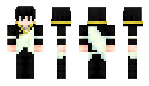 Minecraft skin Black_Ray