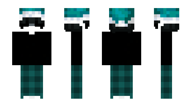 Minecraft скин по нику winterscool