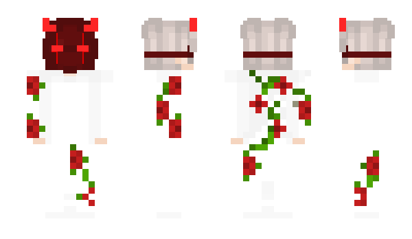 Minecraft skin NoelN