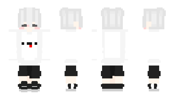 Minecraft skin pvp_noob_tw_8571