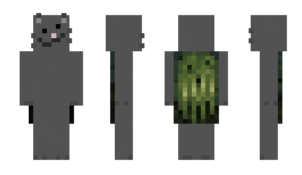 Minecraft скин по нику Qafity