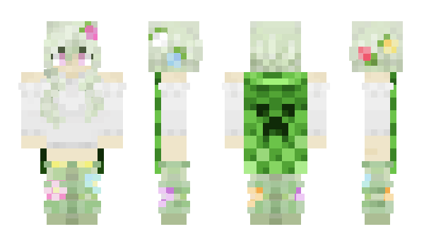 Minecraft skin pokystick