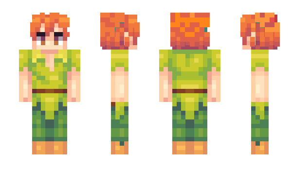 Minecraft skin SDN_