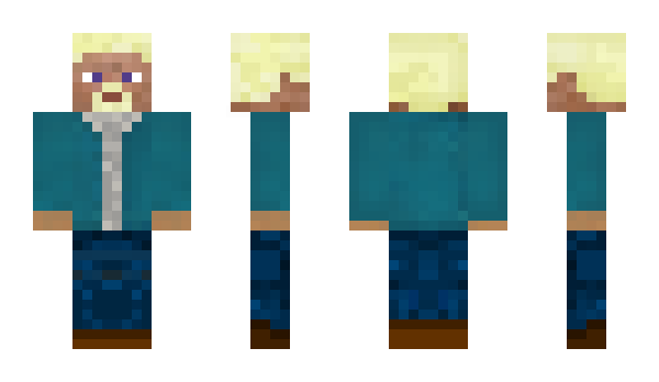 Minecraft skin Dins