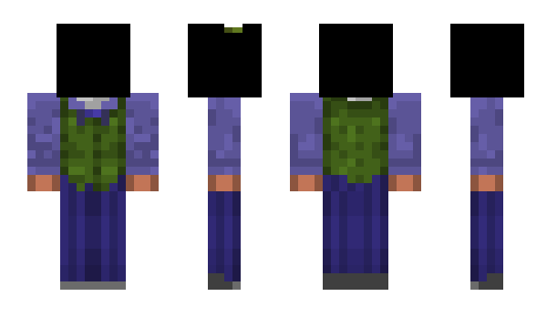 Minecraft skin nicknerf