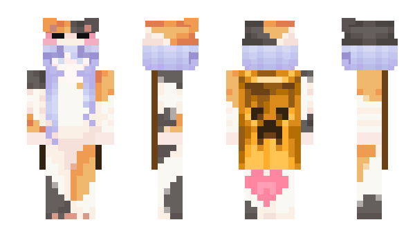 Minecraft skin chronocbfj