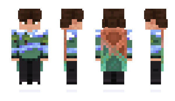 Minecraft скин по нику vidsmate
