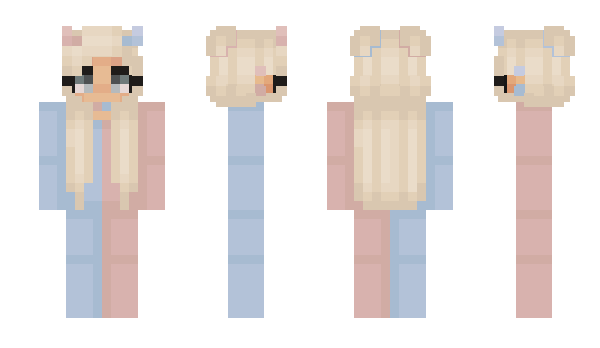 Minecraft skin Rapidin