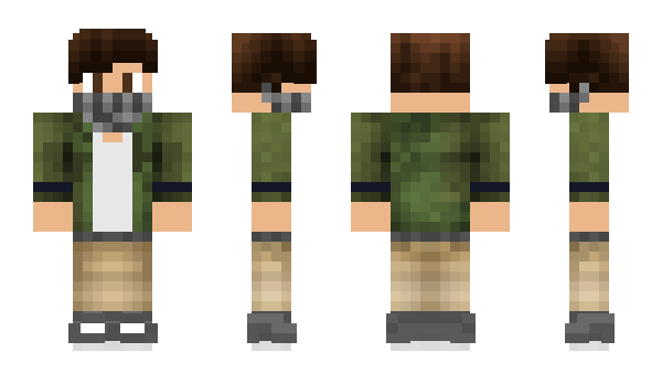 Minecraft skin Harlykin