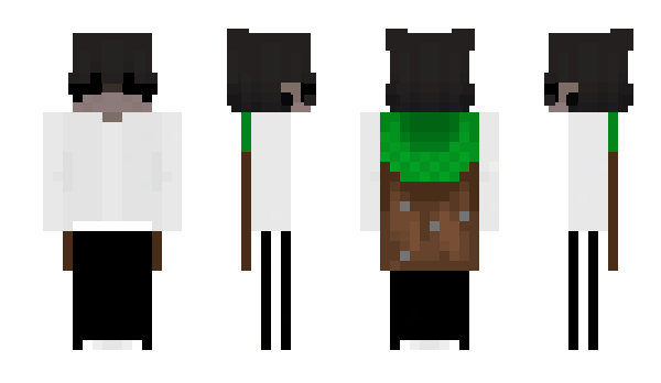 Minecraft skin roidera