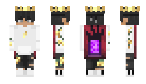 Minecraft skin 100iq_Pranav