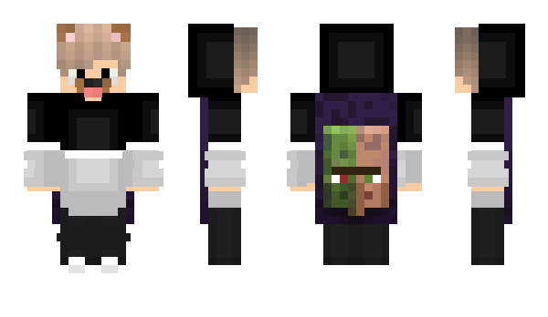 Minecraft skin PayBox