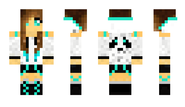 Minecraft skin Jsonka