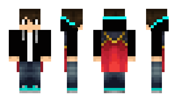 Minecraft skin Frljix