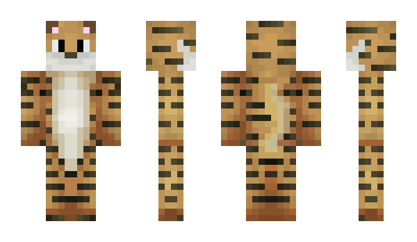 Minecraft skin Carpente
