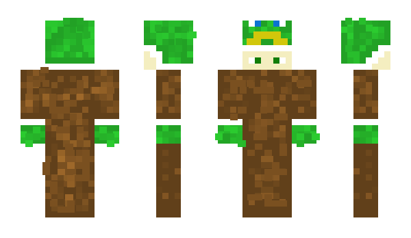 Minecraft skin blayzeeee