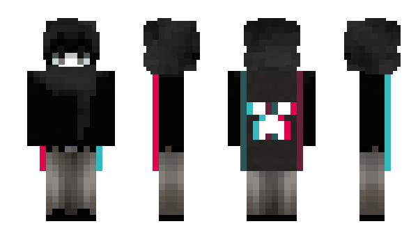 Minecraft skin pugking19809