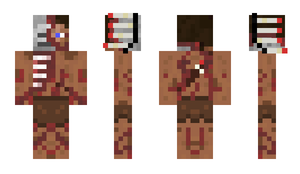 Minecraft скін по ніку Plinius