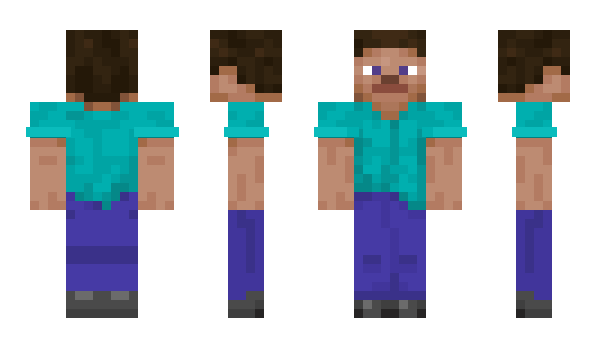 Minecraft skin solvery