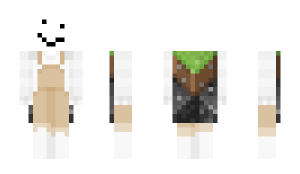 Minecraft skin SnowDeens