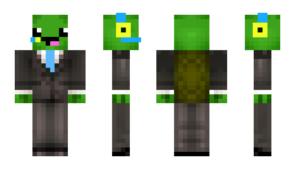 Minecraft skin Putturtle