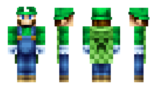 Minecraft skin ANintendoFan