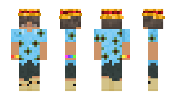 Minecraft скин по нику WebDev_