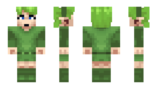 Minecraft skin edrim