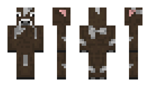 Minecraft skin craftman0