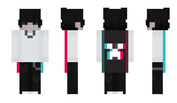 Minecraft skin nswm