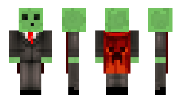 Minecraft skin PhyreChris