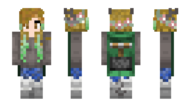 Minecraft skin Decemberr