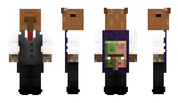Minecraft skin ShAkZ0