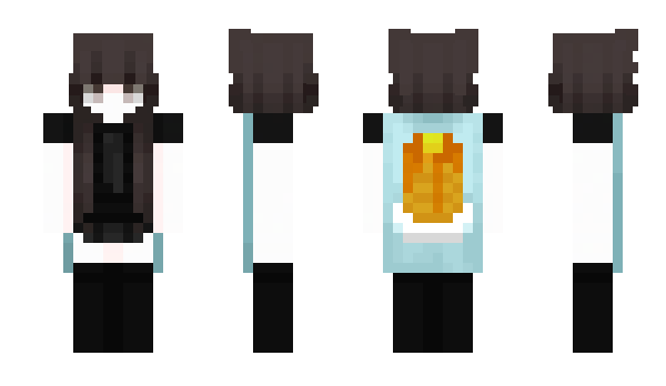 Minecraft skin Destelloo