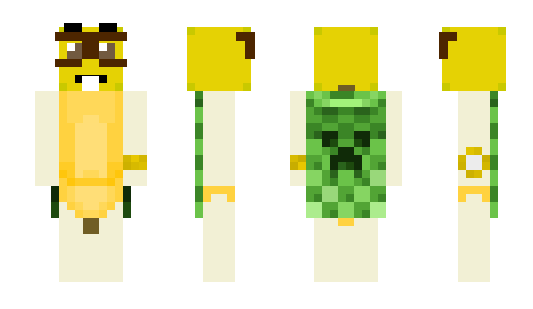 Minecraft skin Style_The_Best