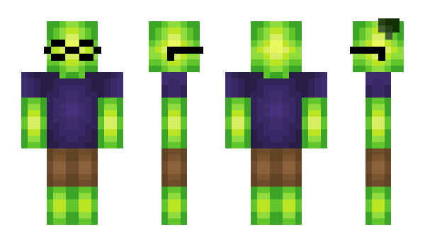 Minecraft skin IntellectualPear