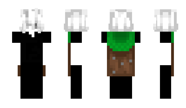 Minecraft скин по нику 888807