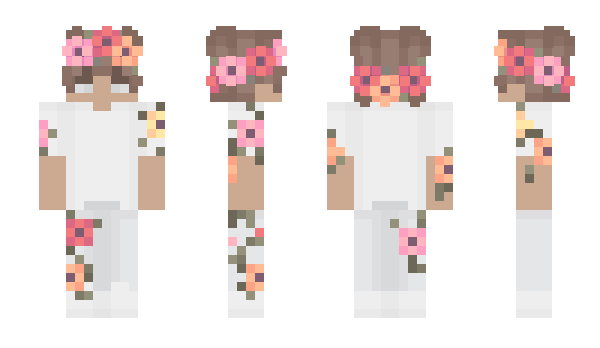 Minecraft skin JarMc