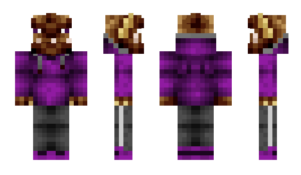 Minecraft skin BIS0N