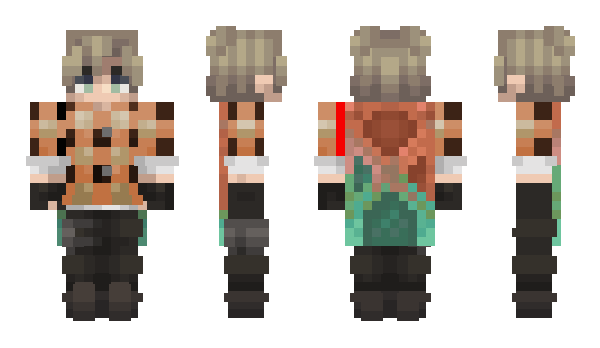 Minecraft skin SpedySkedy