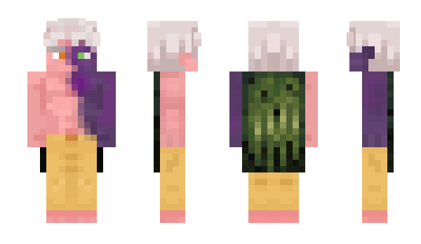 Minecraft скін по ніку Fra1me